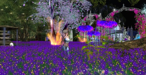 Web 56d34350f8a1ec147a000001