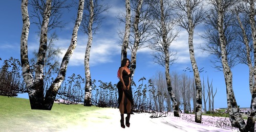 Web 56ec9464f8a1ec205c000001