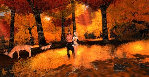 Web 5733bf13b015403017000001