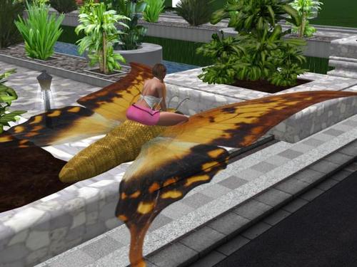 Web 5c0c11f3289dd26b0f000001