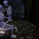 Thumb 5810bacfe85cda632a000001