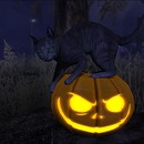 Thumb 5810f789f8a1ec5e11000001