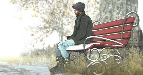 Web 5a1cf4a273ed1768a6000001