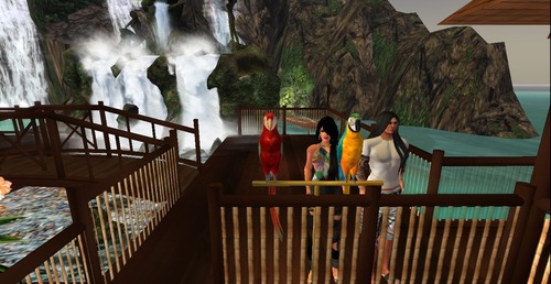 Web 55de9dedf8a1ec456e000001