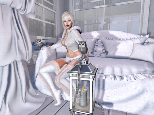 Web 5a2401bd73ed1713f7000001