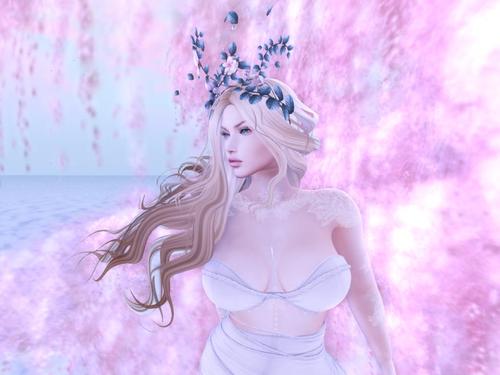 Web 5a9edda8d774f87a92000001