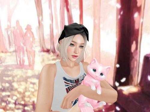 Web 5b378fbf289dd20cf9000001