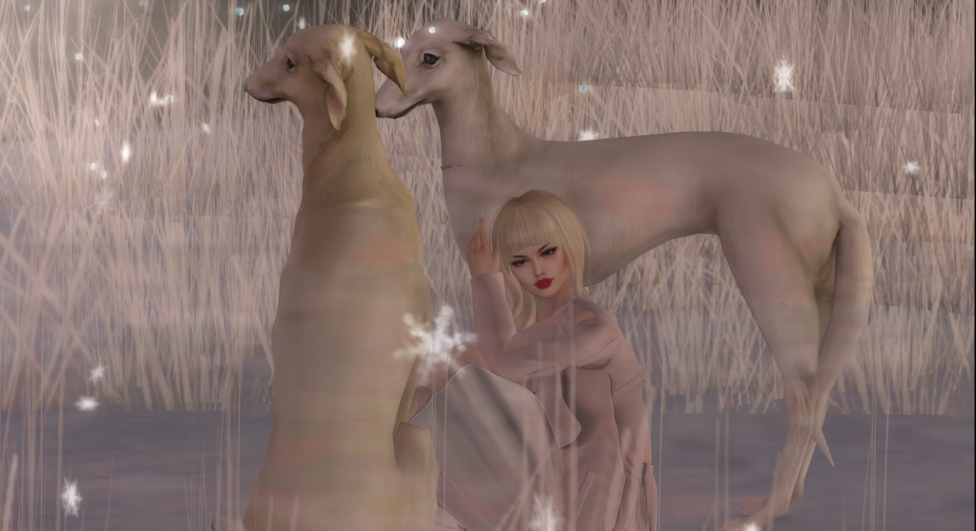 Original 5a1d02b073ed1766b2000001