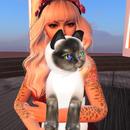 Thumb 5950121bd9859c152b000001