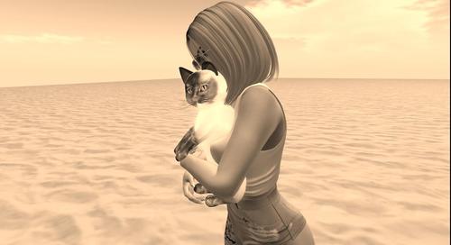 Web 5944e1bdd774f87df2000001