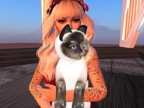 Web 5950121bd9859c152b000001