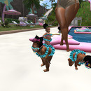 Thumb 63b21a78cefbcd303c0dca6e