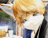 Small 5de85982289dd220a7903354