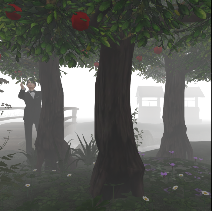 Original 66a960536e233a295530c087