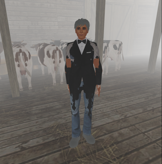 Original 66a998446e233a460830c087