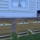 Thumb 642fd96505423f203107fc00