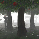 Thumb 66a960536e233a295530c087