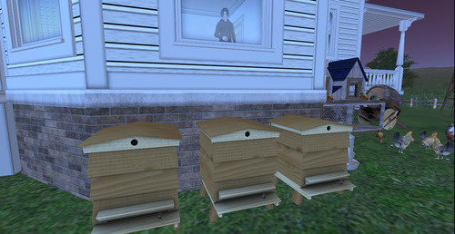 Web 642fd96505423f203107fc00