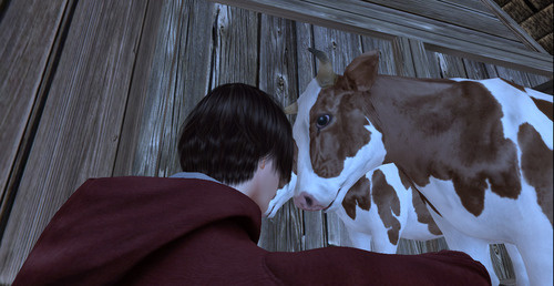 Web 6433d8faaf188e10e6d5513f