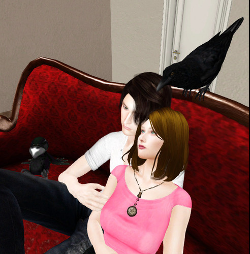 Web 66a7bc122c8ed25a91729709