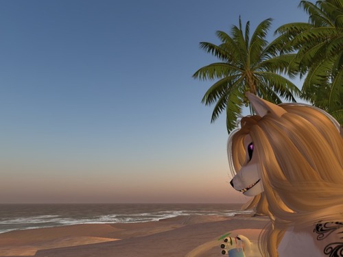 Web 575ee08cf8a1ec51e8000001