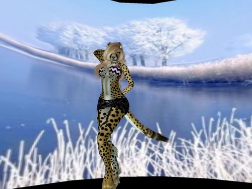 Web 57625aedb015400ea9000001