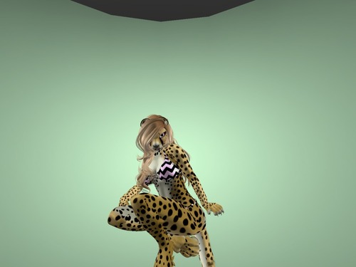 Web 5762ac3ff8a1ec1cba000001