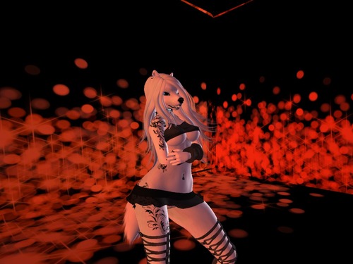 Web 577a2d16e85cda6d91000001