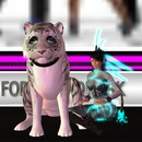 Thumb 5650c24b9934e064d2000001