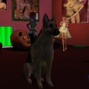 Thumb 56519e759934e015a2000001