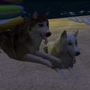 Thumb 5656754f128cc96c79000001