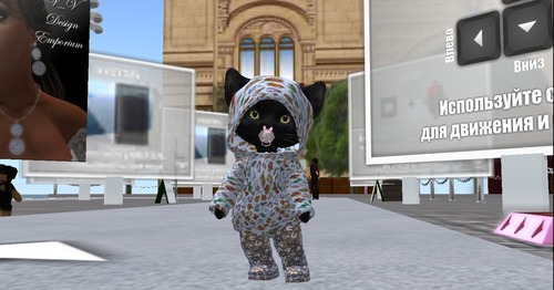 Web 565c8677128cc93378000001