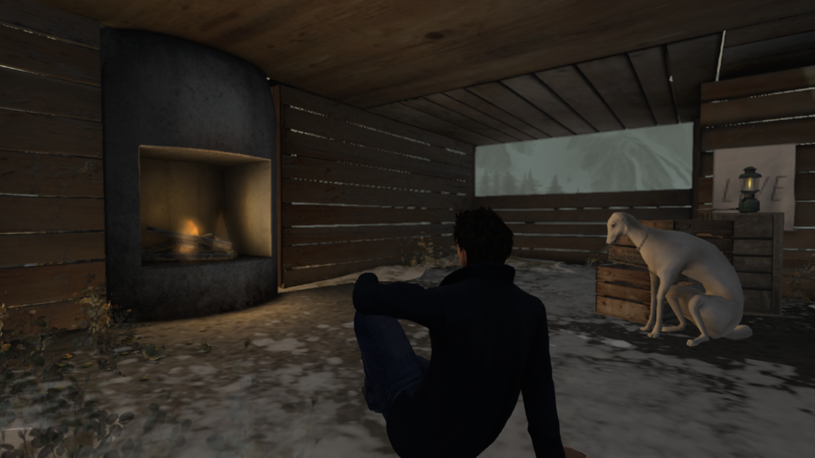 Original 58a0007ae85cda0f17000001