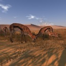 Thumb 587f0296b713f75f3d000001