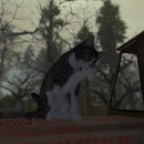 Thumb 5881b0baf8a1ec433e000001