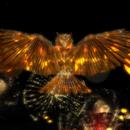 Thumb 58ebea99289dd27427000001