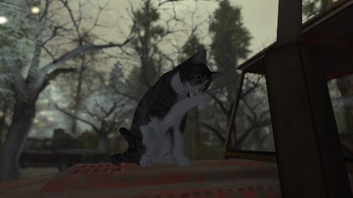 Web 5881b0baf8a1ec433e000001