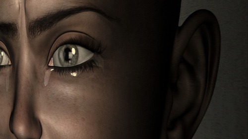 Web 58847b58b713f72d1d000001