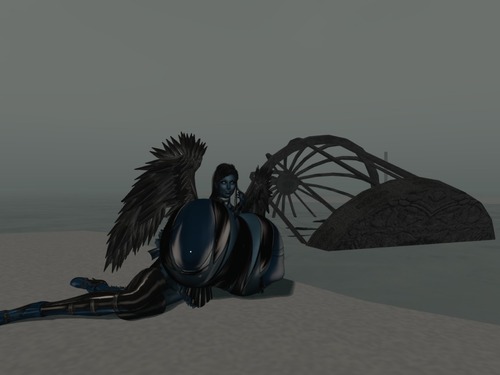 Web 5647c489128cc94a56000001