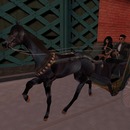 Thumb 5890dfb8e85cda69df000001