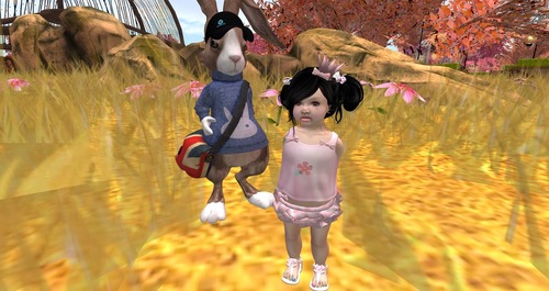 Web 58a72dc6e85cda14de000001