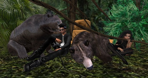 Web 58c5a58df8a1ec3848000001