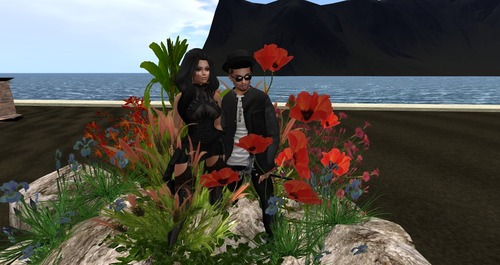 Web 58c5aca8e85cda780c000001