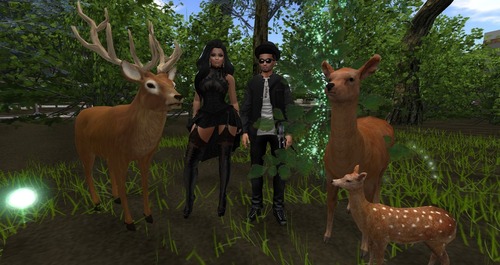 Web 58c5adf3b015404403000001