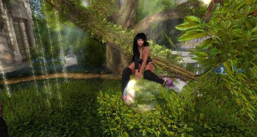 Web 5af6036dd774f80400000001