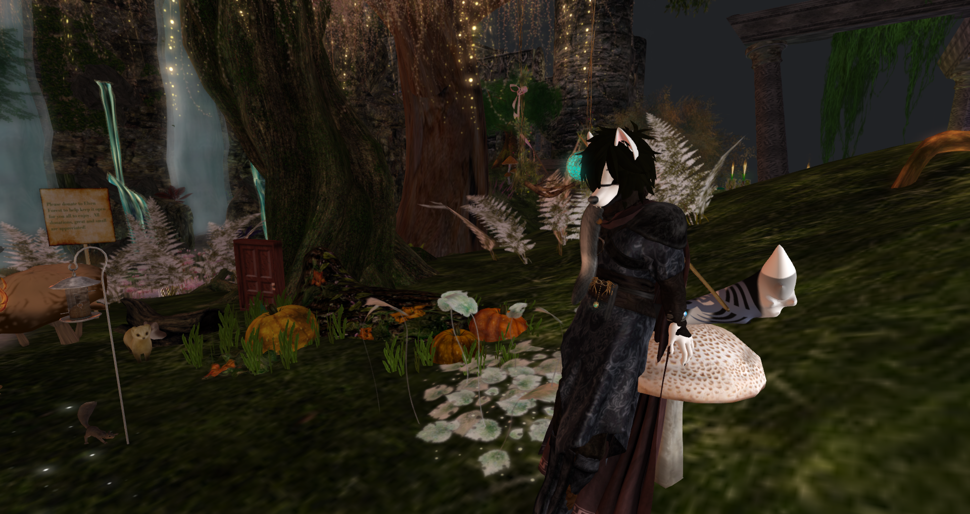 Original 5fdc6fd13910eb551ce497b3