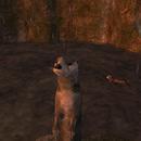 Thumb 5f10c953d9859c0f9dc29abb