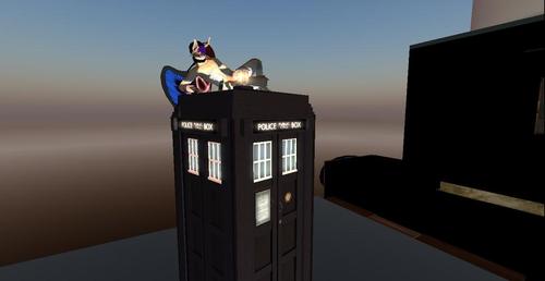 Web 5be26fa8289dd257c7000001