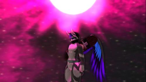 Web 5c0e891ed9859c0f81000001