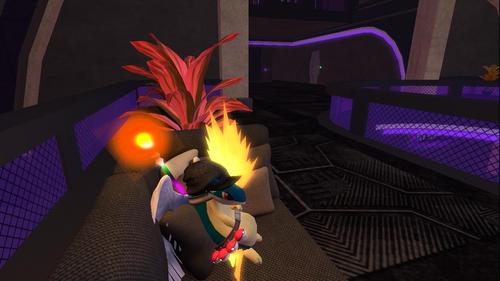 Web 5c1188ced9859c5531000001